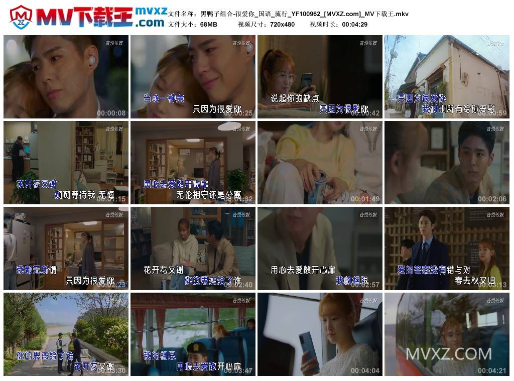 黑鸭子组合-很爱你_国语_流行_YF100962